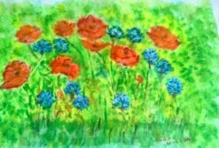 Fleurs Des Champs - - Painting By -