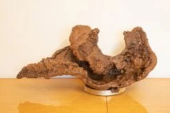 Wave - Oak Decorative Sculpture - - Sculpture By -