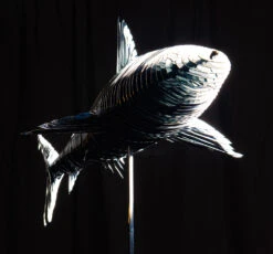 Chromium Shark - - Sculpture By -