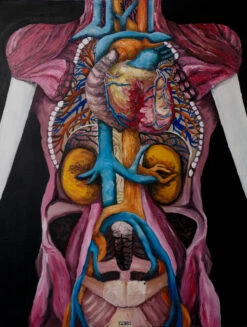 Anatomie - - Painting By -