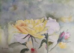 Roses - - Painting By -