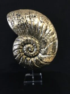 Koh Lanta - - Sculpture By -