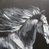 Cheval Dans La Nuit - - Painting By - -Cheap Paint Store 16515703 dsc00386