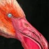 Flamingo - - Painting By - 2 Flamingo - - Painting By - -Cheap Paint Store 16520008 flamingo 2023