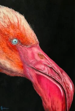 Flamingo - - Painting By -