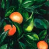 Tangerines - - Painting By - -Cheap Paint Store 16548550 tangerines