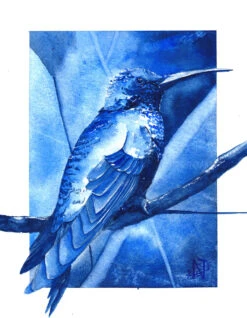 Colibri - - Painting By -