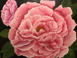 Peony Flower - - Painting By -