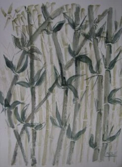 Bambous - - Painting By -