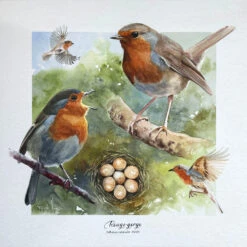 Le Rouge-gorge - - Painting By -