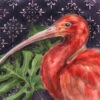 Scarlet Ibis - - Painting By - -Cheap Paint Store 16615627 12d498e5 1359 4a0d b6ad 8e798619ecbf