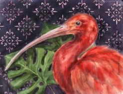 Scarlet Ibis - - Painting By -