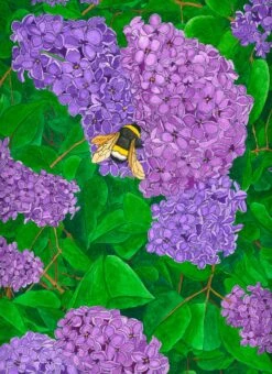 Lilacs - - Painting By -