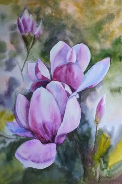 Magnolia Sulange - - Painting By -
