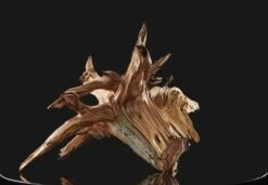 Wood Sculpture - - Sculpture By -